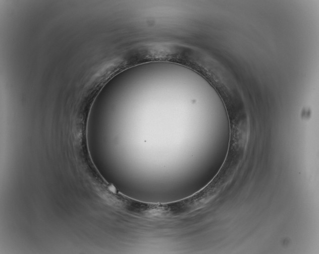 X0000097920505200803141444