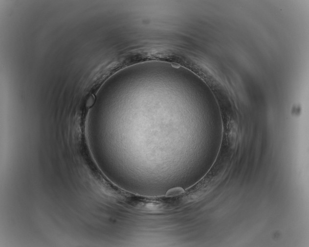 X0000097920506200803141444