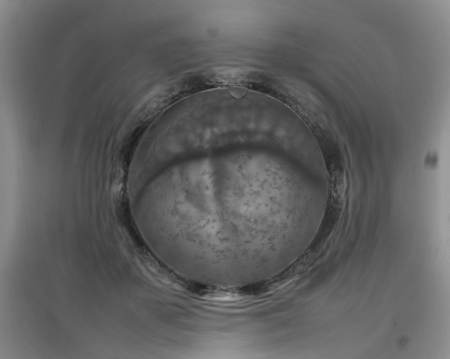 X0000097920507200803141444