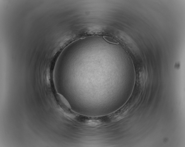 X0000097920508200803141444