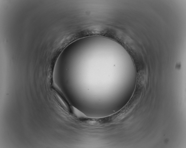 X0000097920509200803141444