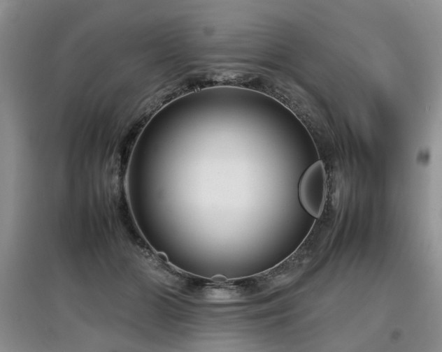 X0000097920510200803141444