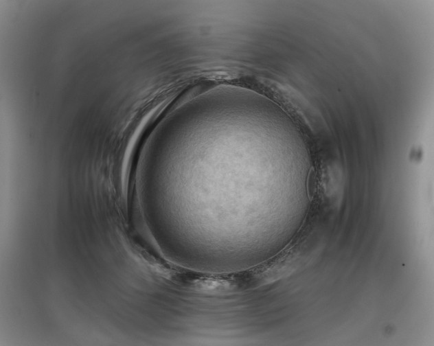 X0000097920512200803141444