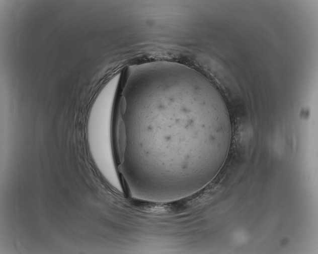 X0000097920513200803141444