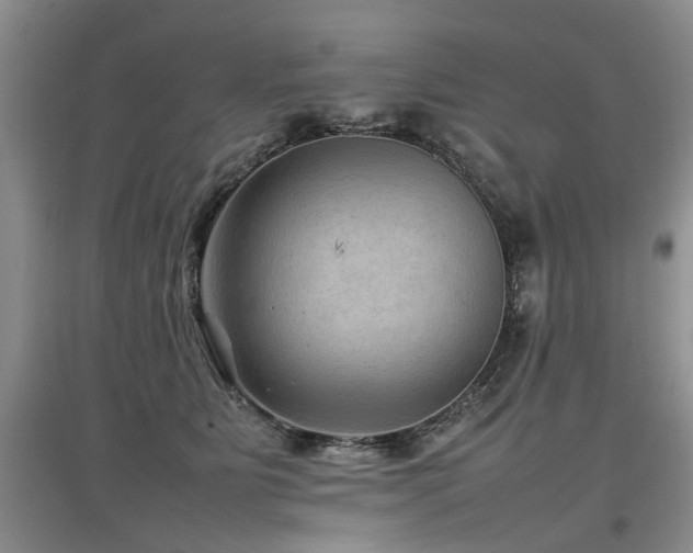 X0000097920515200803141444