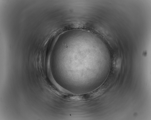 X0000097920516200803141444