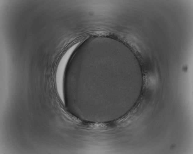 X0000097920517200803141444