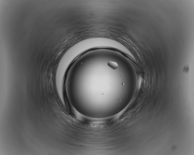 X0000097920520200803141444