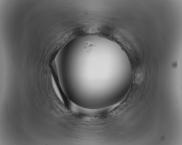 X0000097920521200803141444