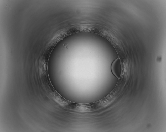 X0000097920522200803141444