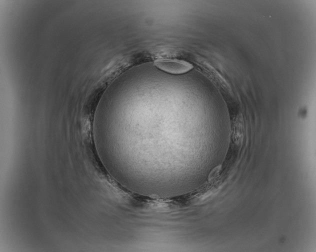 X0000097920523200803141444