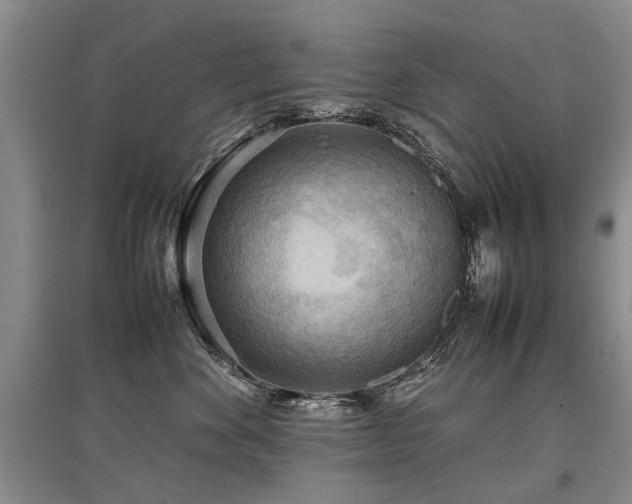 X0000097920524200803141444