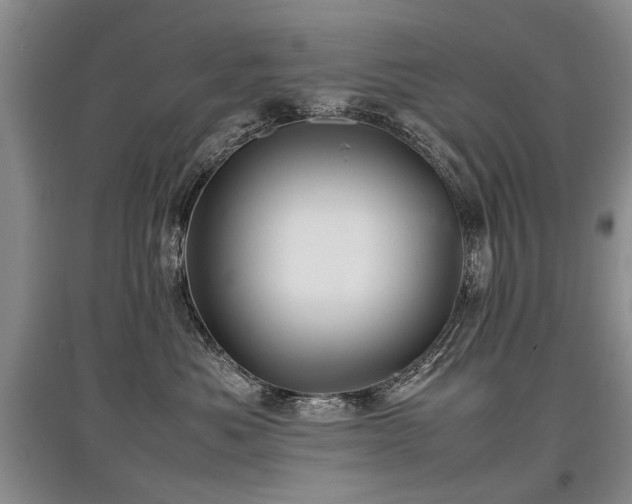 X0000097920525200803141444