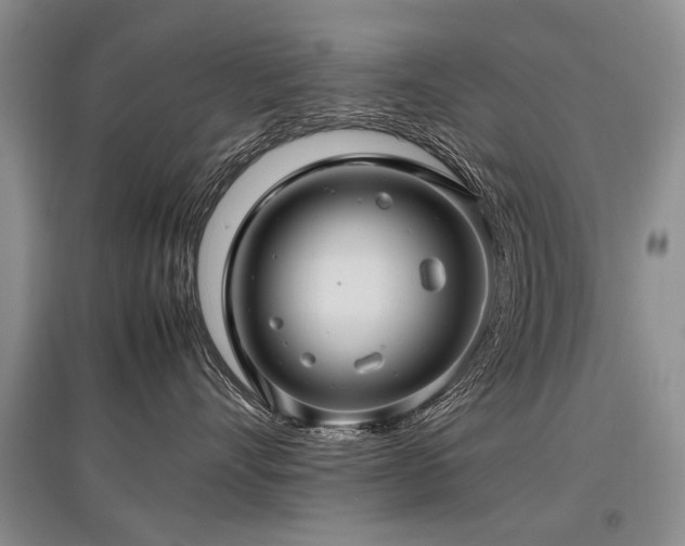 X0000097920528200803141444