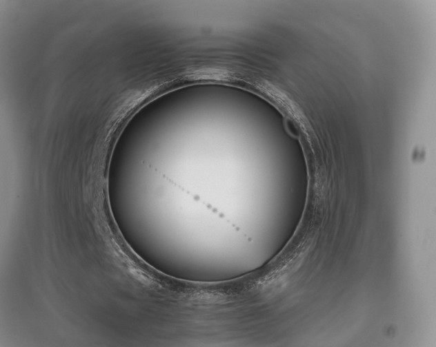 X0000097920529200803141443