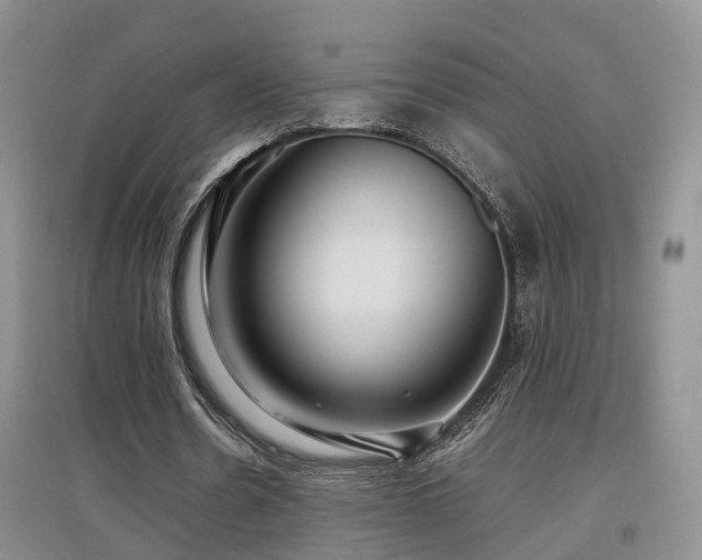 X0000097920530200803141443