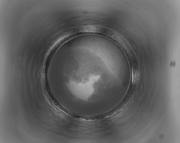 X0000097920531200803141443