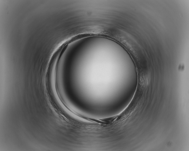 X0000097920532200803141443