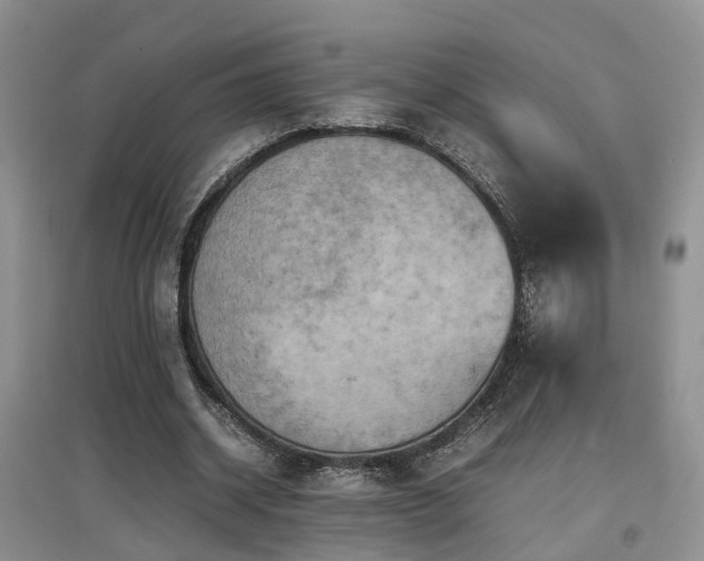 X0000097920534200803141443