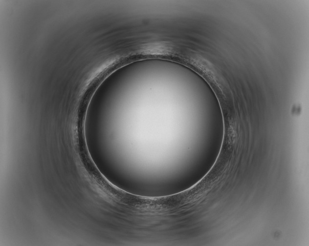 X0000097920535200803141443