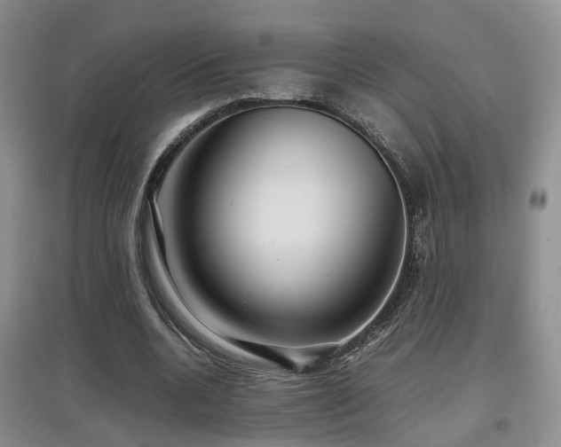 X0000097920536200803141443