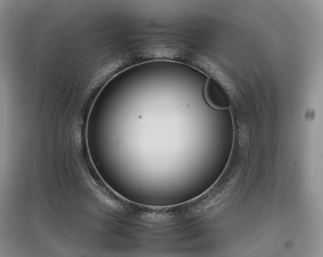 X0000097920537200803141443