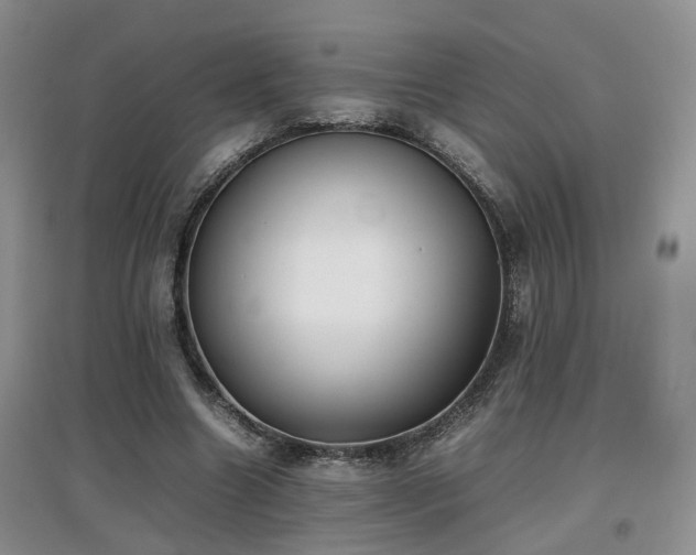 X0000097920538200803141443