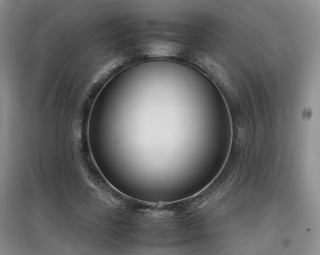 X0000097920539200803141443