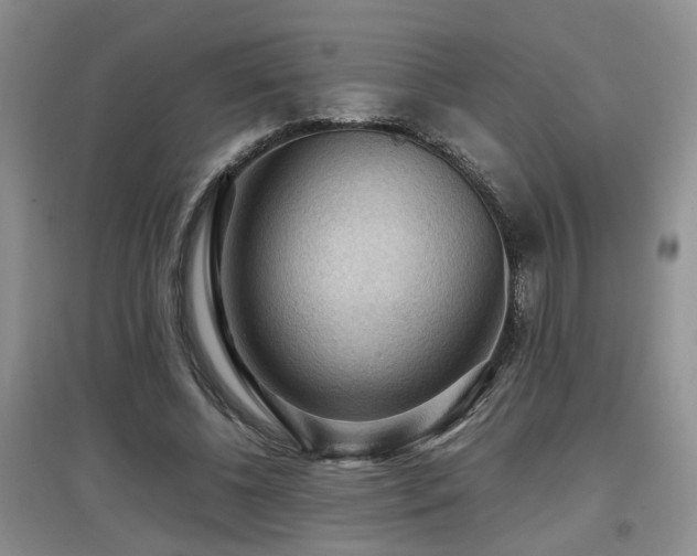X0000097920540200803141443