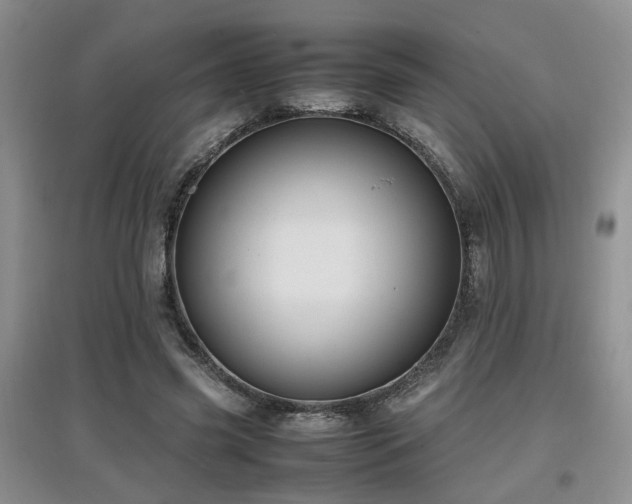 X0000097920541200803141443