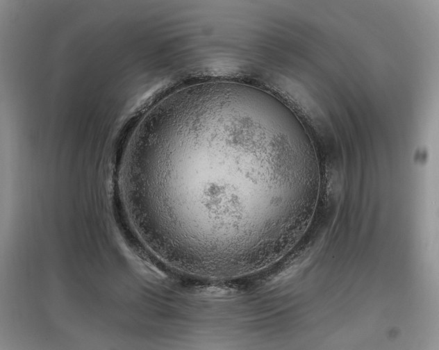 X0000097920542200803141443