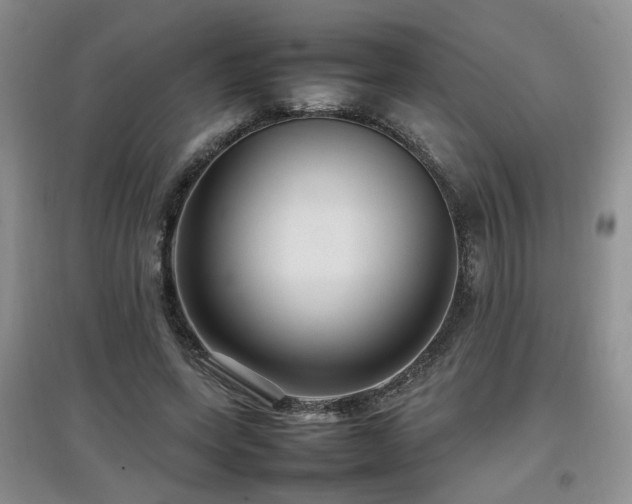 X0000097920543200803141443