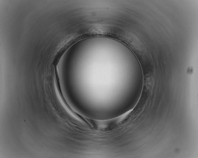 X0000097920544200803141443