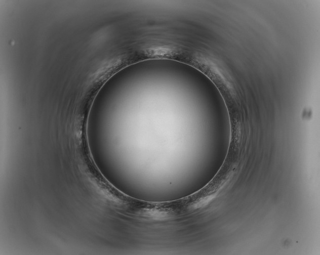 X0000097920545200803141443