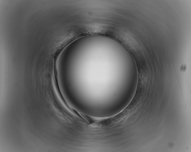 X0000097920546200803141443