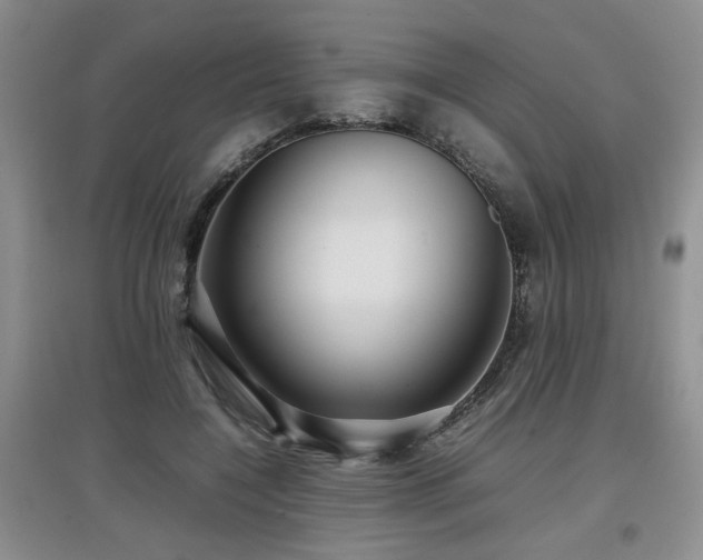 X0000097920548200803141443