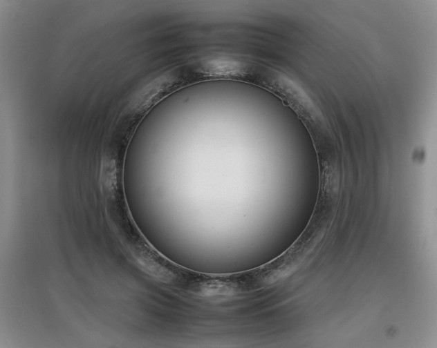 X0000097920549200803141443