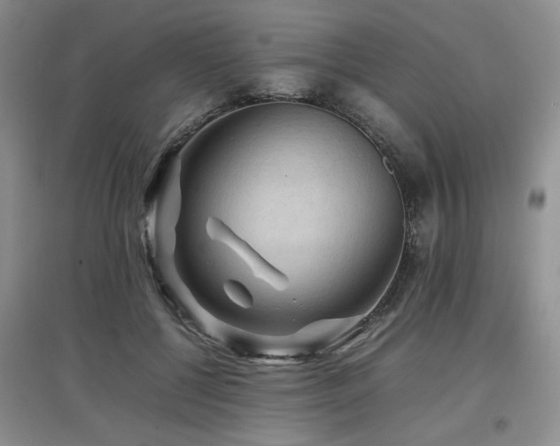 X0000097920552200803141443