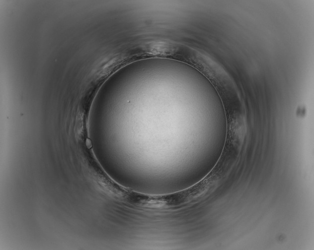 X0000097920554200803141444