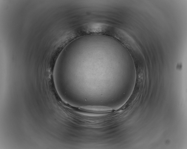 X0000097920555200803141444