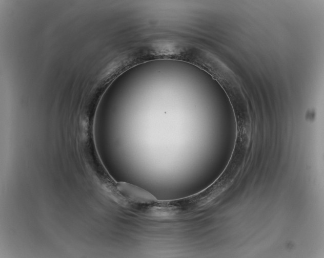 X0000097920556200803141444