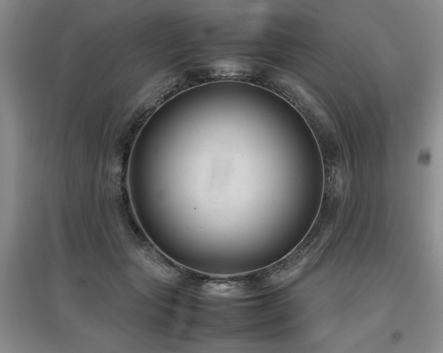 X0000097920557200803141444