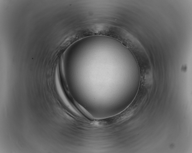 X0000097920558200803141444