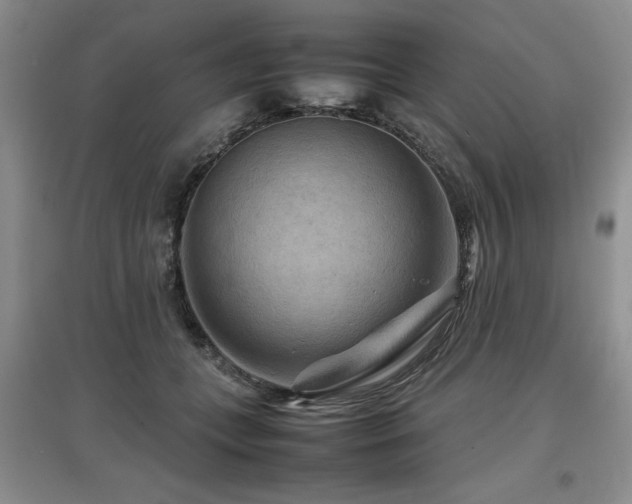 X0000097920559200803141444