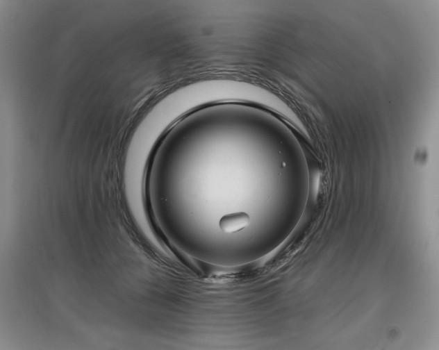 X0000097920560200803141444