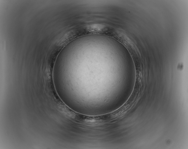 X0000097920561200803141444