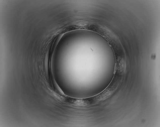 X0000097920562200803141444