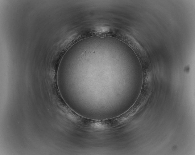 X0000097920565200803141444