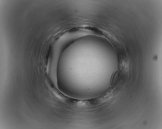 X0000097920566200803141444