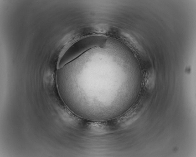 X0000097920568200803141444